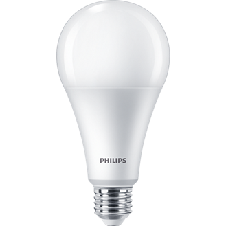 Led Bulb 22W E27 6500K 100-240V Philips