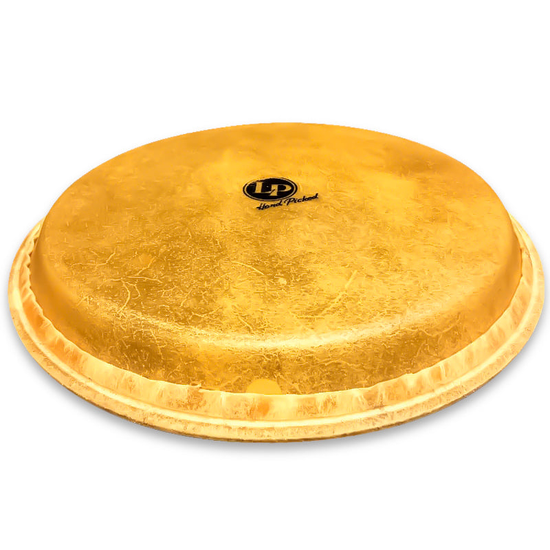 Parche 12.5" para Conga LP265C Latin Percussion