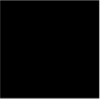 Color - Negro/Black