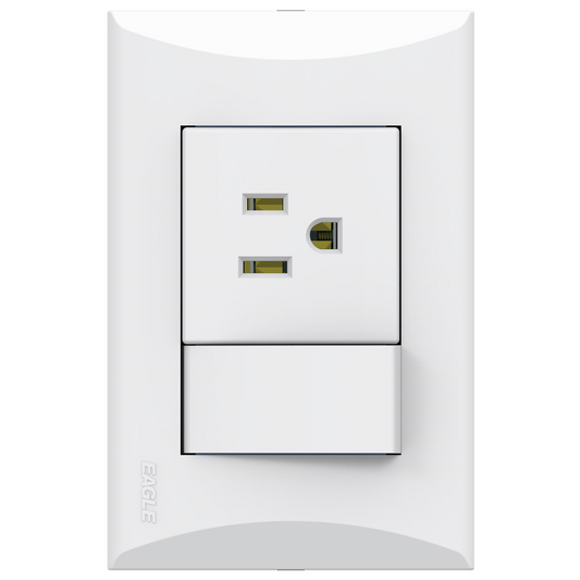 INTERRUPTOR TOMA 15A 125V PLATA BLANCO