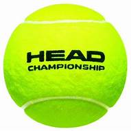 Bola de Tenis CHAMPIONSHIP 575203 Head (Paquete de 3)