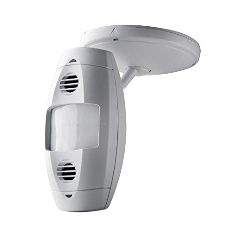 Sensor de ocupación multitecnología de bajo voltaje, montaje en pared/esquina, 1200SF 24VDC 25mA, LED rojo/verde, 360 grados, blanco