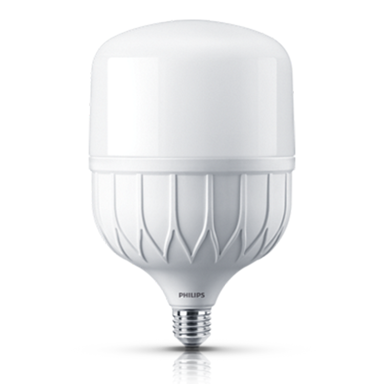 TFORCE CORE HB 30W E27 865 100-240V