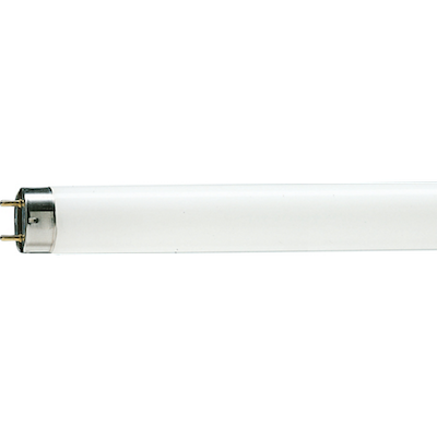 Tubo Flourescente 32W T8 AmericanLite